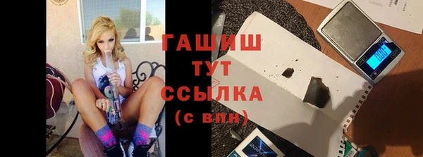 ECSTASY Бородино