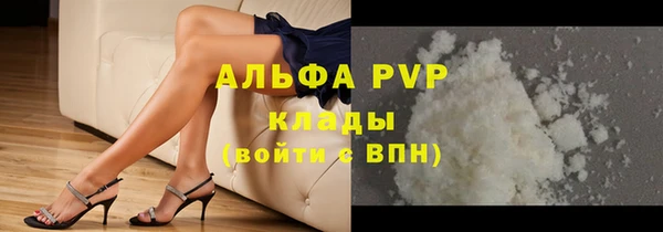 ECSTASY Бородино
