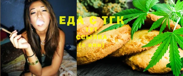 ECSTASY Бородино