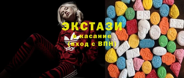 ECSTASY Бородино