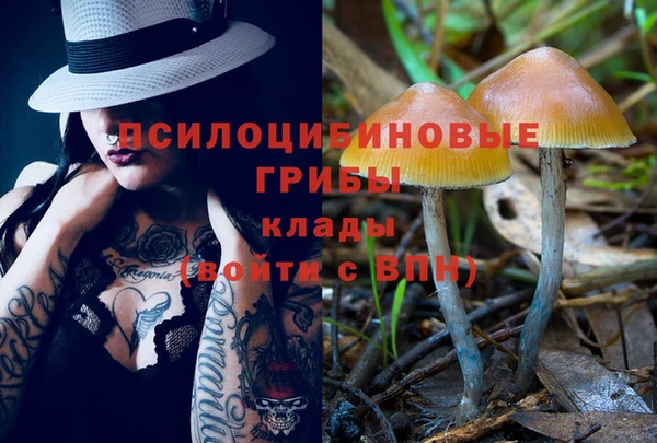 ECSTASY Бородино