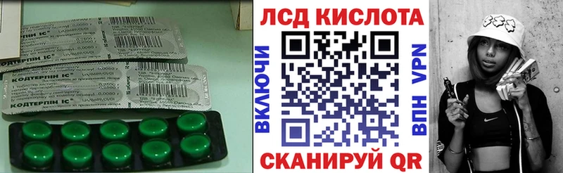 где найти наркотики  Сертолово  Лсд 25 экстази кислота 