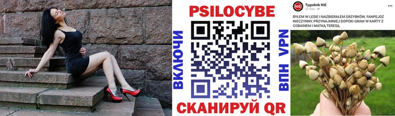 Псилоцибиновые грибы мицелий  наркошоп  Сертолово 